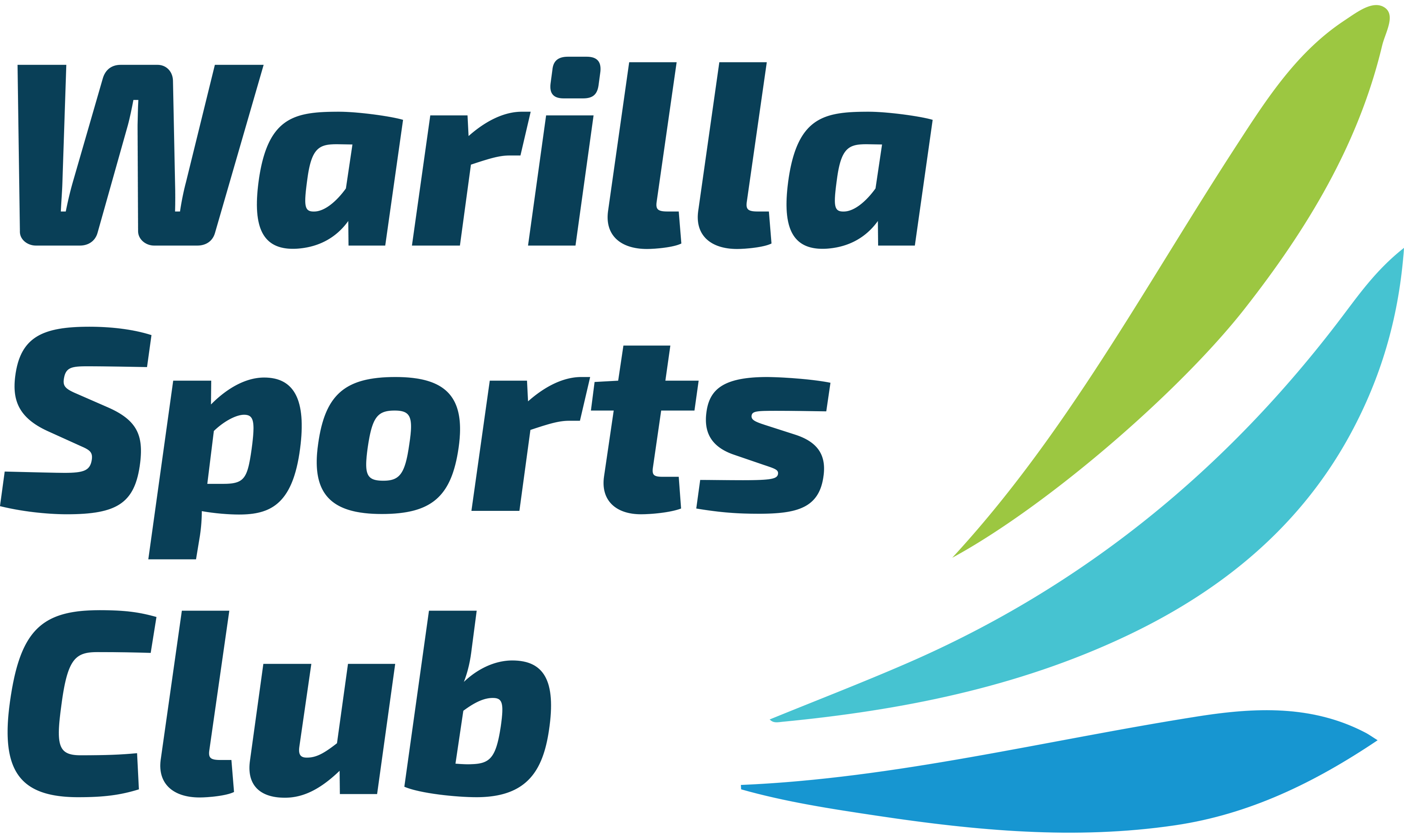 The Sporties: Warilla Sports Club Logo
